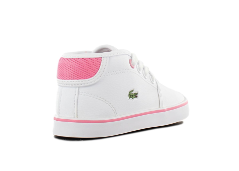 Lacoste deals ampthill white