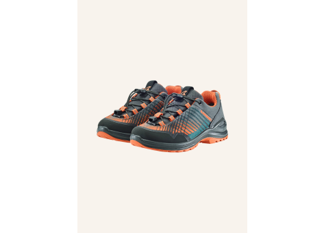 Lowa Carezza GTX (651068-9720) grau