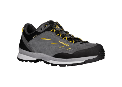 Lowa Delago GTX Low (211097_9336) grau