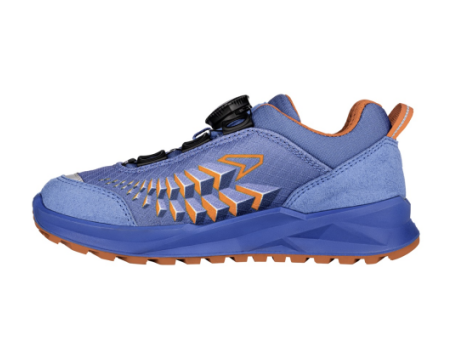 Lowa FERROX GTX (650126-6021) blau