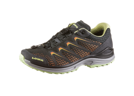 Lowa Maddox Low GTX (320609-9766) grau