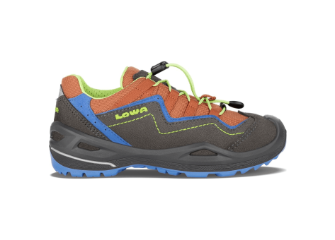 Lowa Robin EVO GTX Low Grö e 28 (640711_9704) bunt