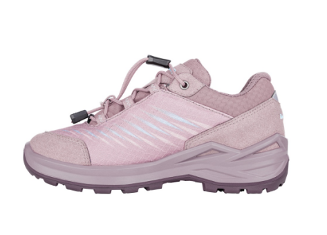 Lowa Zirrox II GTX Low (661515-5103) pink