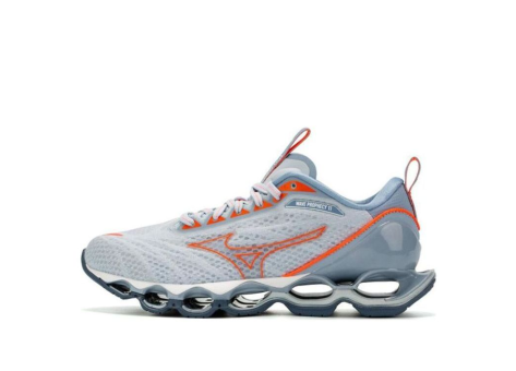 Mizuno Prophecy11 Gray Blue (J1GD220066) grau