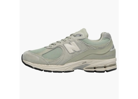 New Balance 2002R Silver Pine Sea Salt Rain Cloud (M2002RS1) beige