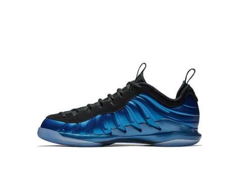 Nike Air Foamposite Vapor X Zoom Royal (AO8760 500) blau