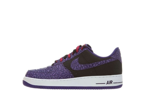 Nike Air Force 1 Crackled (488298 025) bunt