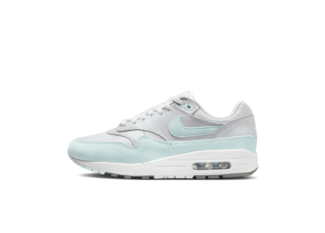 Nike Air Max 1 87 grau HF5387 002 Preisvergleich