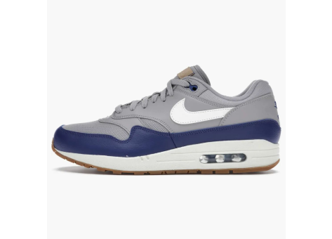 Nike Air Max 1 (AH8145-008) bunt
