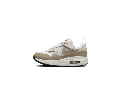 Nike Air Max 1 EasyOn (DZ3308-006) grau