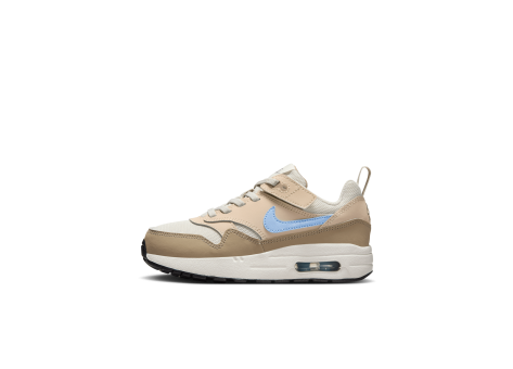 Nike Air Max 1 EasyOn (DZ3308-010) grau