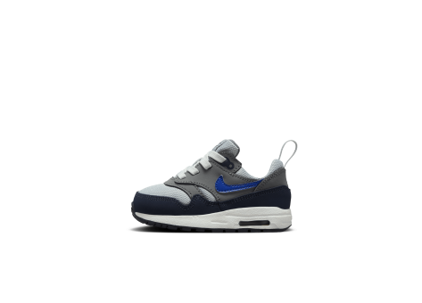 Nike Air Max 1 EasyOn (DZ3309-007) grau