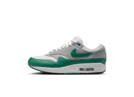 Nike Air Max 1 Essential (FZ5808-016) bunt