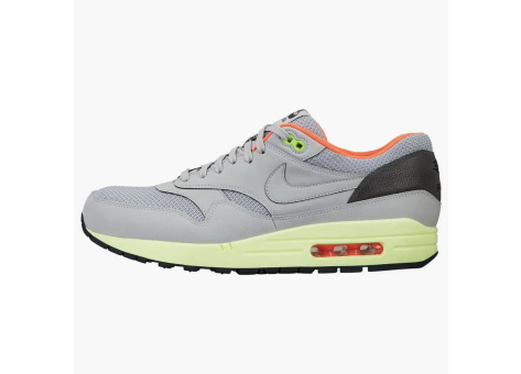 Nike Air Max 1 FB Wolf Grey (579920-005) grau