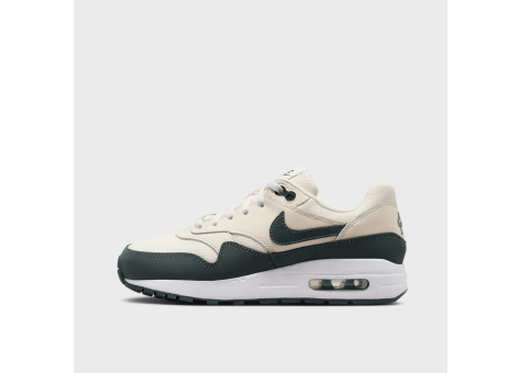 Nike Air Max 1 GS braun DZ3307 113 Preisvergleich