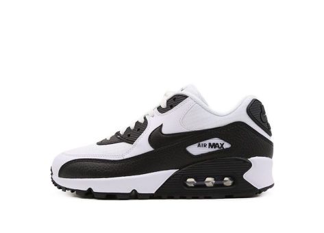 Nike Air Max 90 2019 (325213-139) bunt