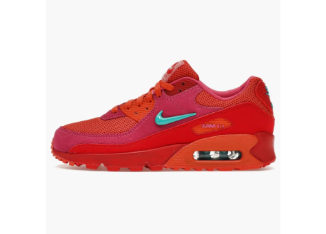 Nike Air Max 90 Alchemy (FJ3868 600) bunt