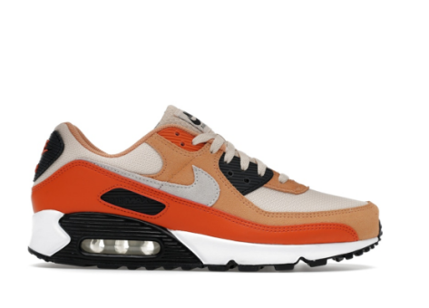 Nike Air Max 90 (DM0029-800) bunt