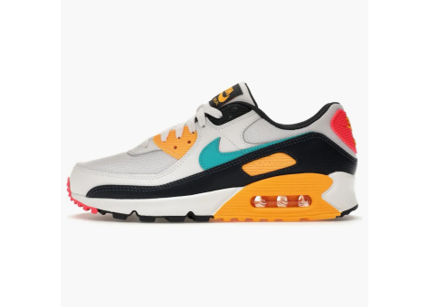 Nike Air Max 90 Dusty Cactus (HF4860 100) bunt