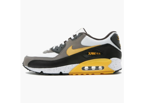 Nike Air Max 90 Livestrong (372446-171) bunt
