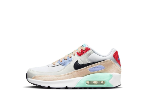 Nike Air Max 90 Leather GS Patches (DZ2888-100) bunt