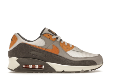 Nike Air Max 90 Premium (IB7467-029) bunt