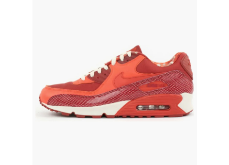 Nike Air Max 90 Steve Nash (314864-881) bunt