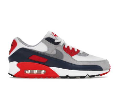 Nike Air Max 90 (DM0029-117) bunt