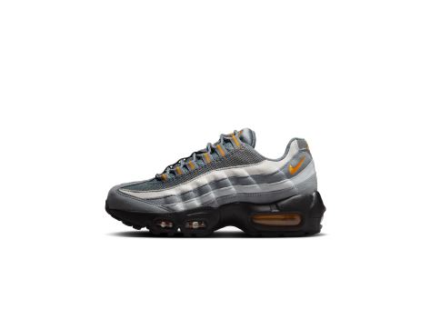 Nike Air Max 95 ältere (IB2871-001) grau