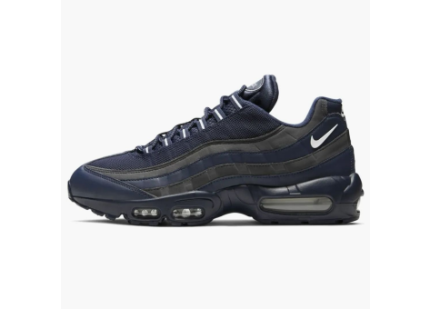 Nike Air Max 95 Obsidian (DD7114 400) bunt