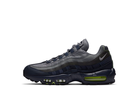 Nike Air Max 95 Seahawks (DA1504 400) bunt