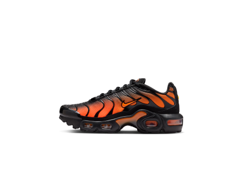 Nike Air Max Plus (ältere ) (CD0609-041) bunt