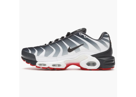 Nike Air Max Plus The Bite (AQ0237-100) bunt