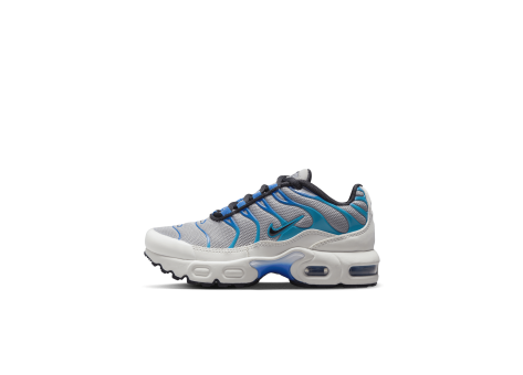 Nike Air Max Plus (CD0610-019) grau