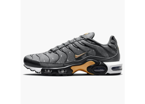 Nike Air Max Plus Denim Twill (DM7570-002) grau