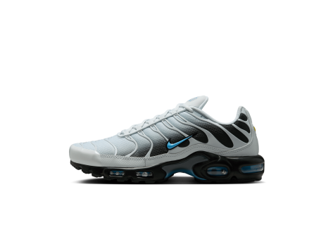 Nike Air Max Plus (DM0032-015) grau