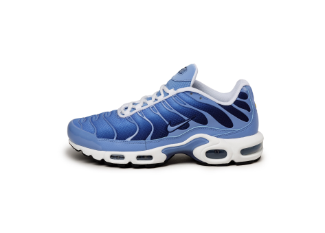 Nike Air Max (DM0032 403) blau