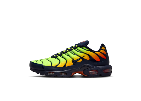 Nike Air Max Plus (DM0032-701) bunt