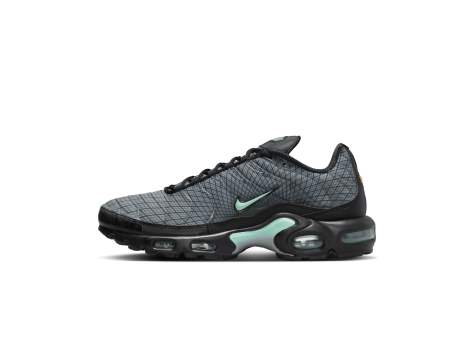Nike Air Max Plus (FB3351-001) bunt