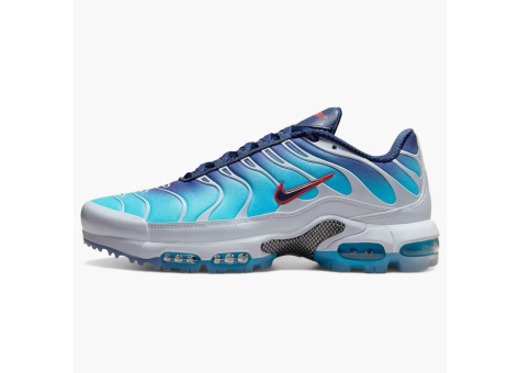 Nike Air Max Plus Golf Pga Championship (HJ4517-400) bunt