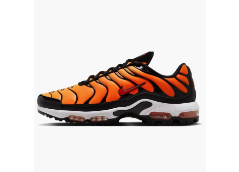 Nike Air Max Plus Golf Sunset (FZ4150-800) bunt