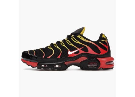 Nike Air Max Plus Gradient (CZ9270 001) bunt