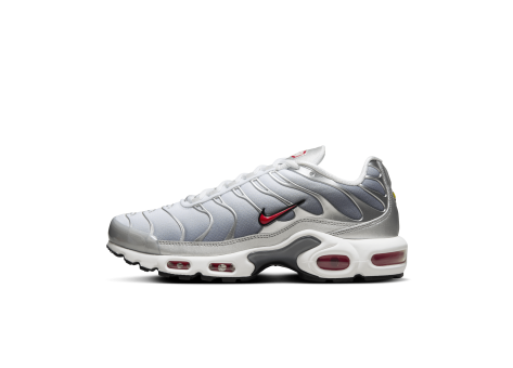 Nike Air Max Plus (HM9654-001) grau