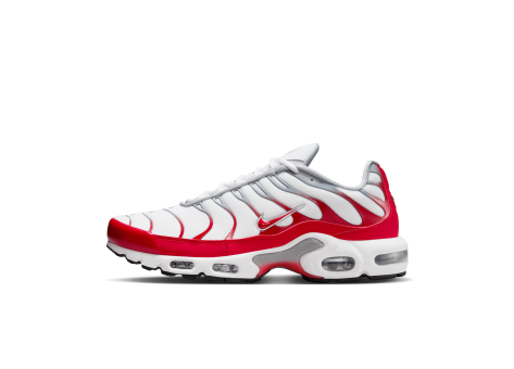 Nike Air Max Plus (IF6224-101) bunt