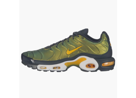 Nike Air Max Plus Liquid Metal Anthracite (AJ2013-005) bunt