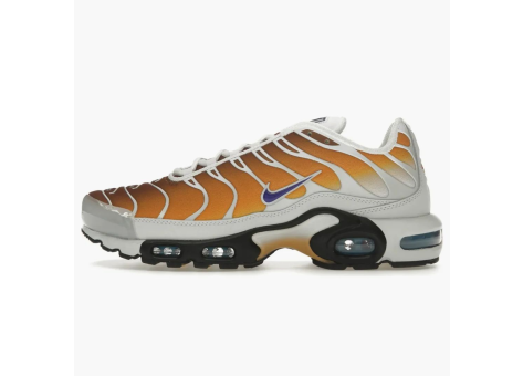 Nike One Block Down Air Max Plus Chutney (FZ3308-700) bunt