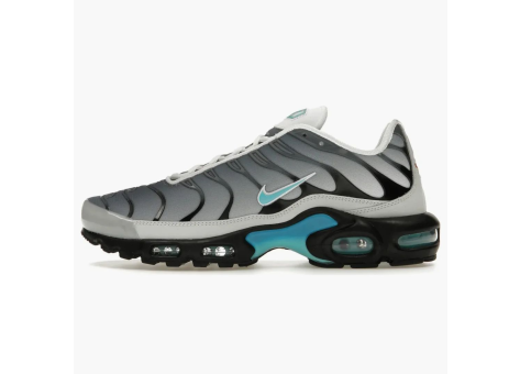 Nike Air Max Plus One Block Down Matte Silver (FZ3308-001) bunt