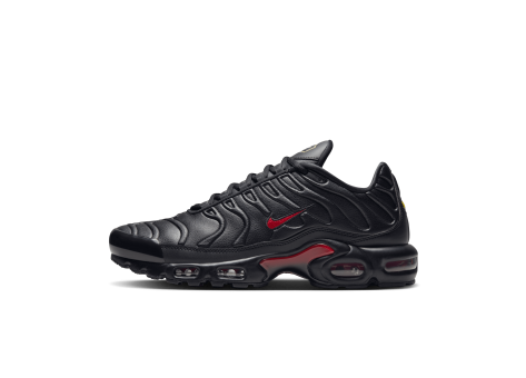 Nike Air Max (FZ3038-001) schwarz