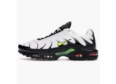 Nike Air Max Plus Retro Future (AJ2013-100) bunt