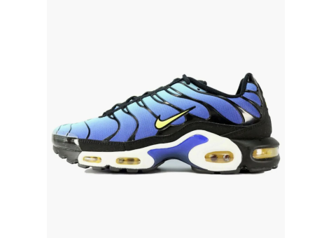 Nike Air Max Plus Tn Hyper Blue (604133 475) bunt